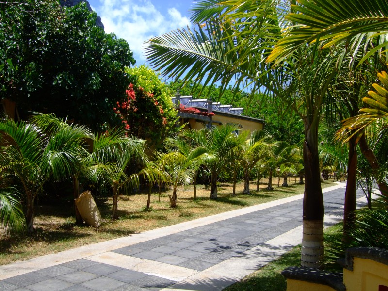 Mauritius 2010 - 0177 